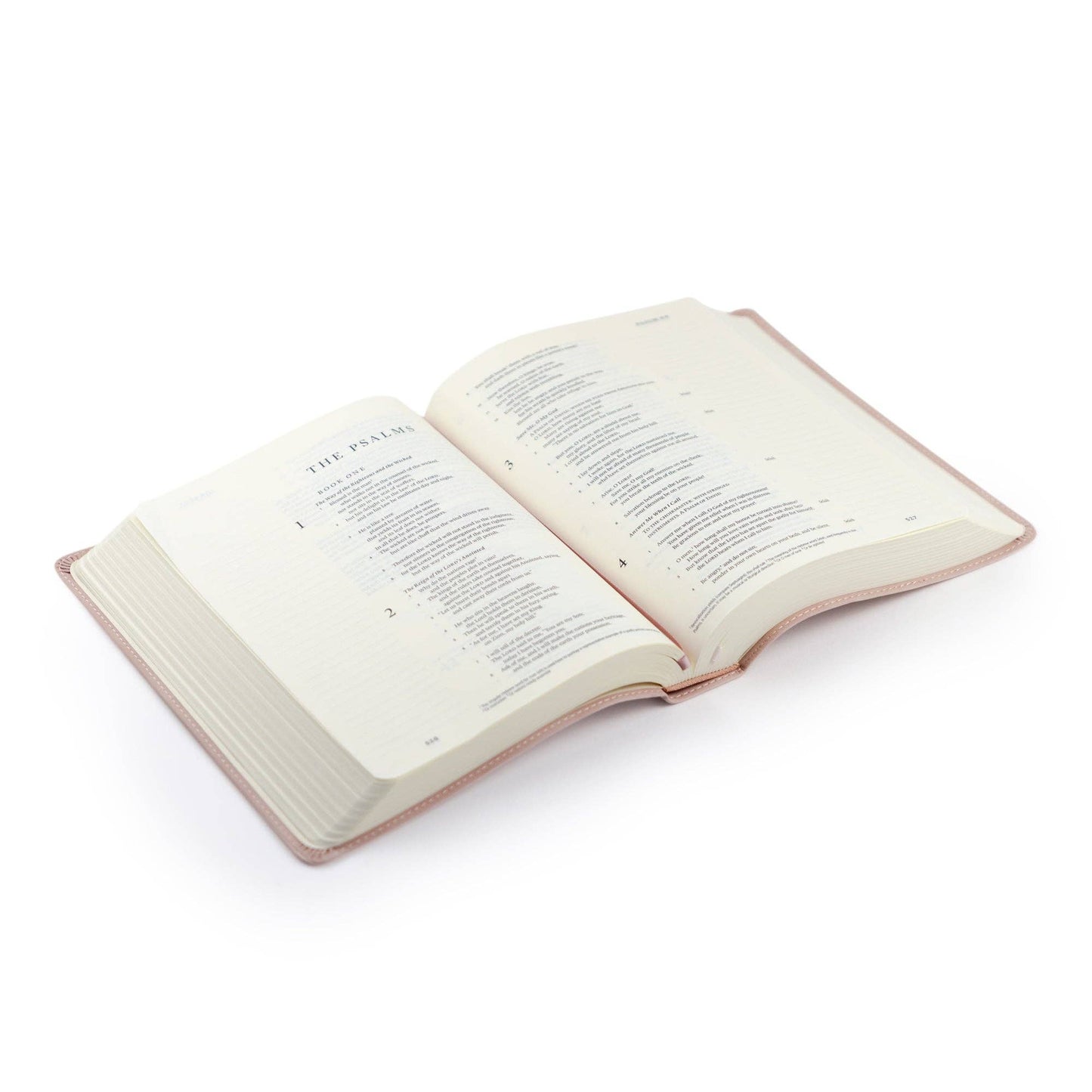 Blush ESV Journaling Bible