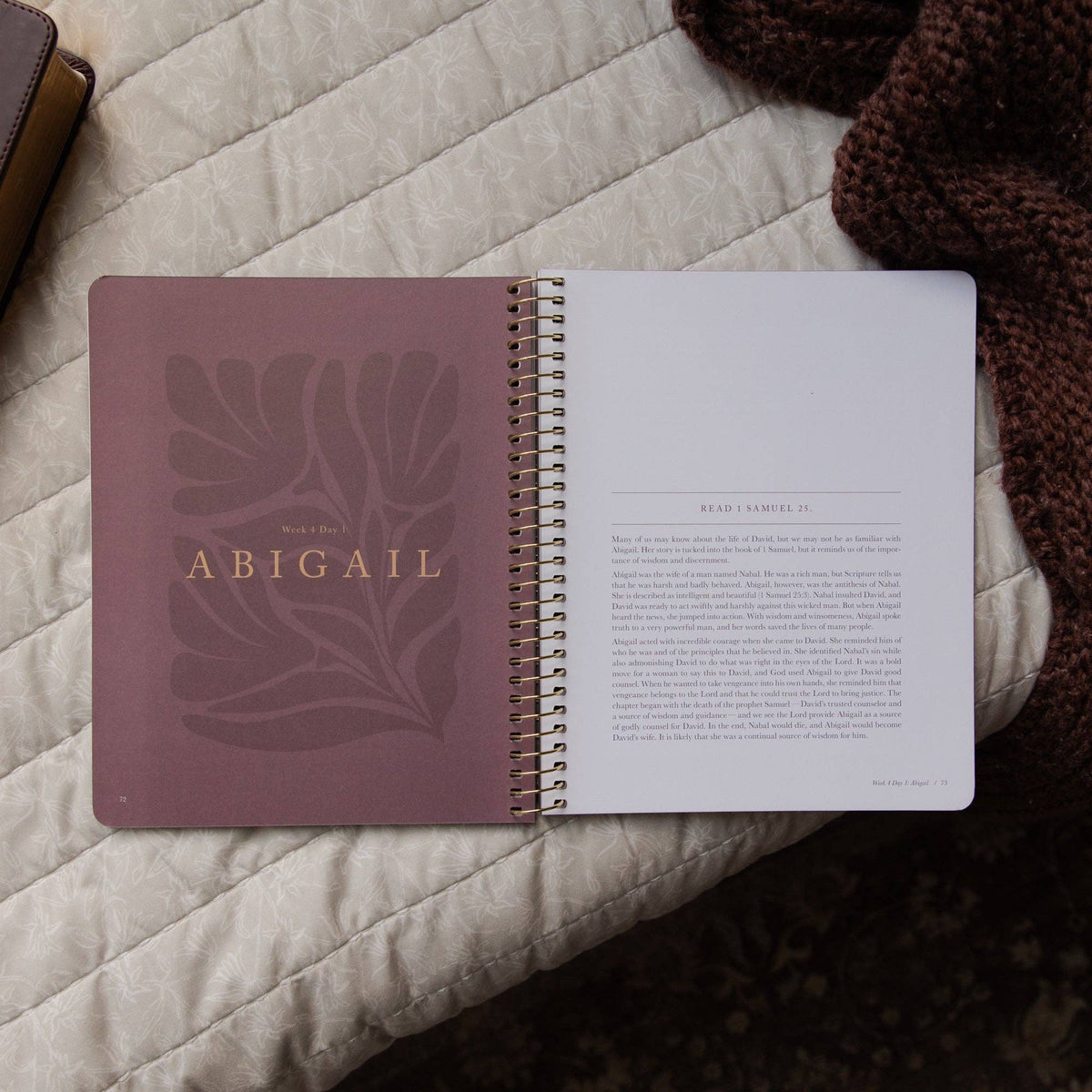 Daughters of Grace Spiral Bible Study