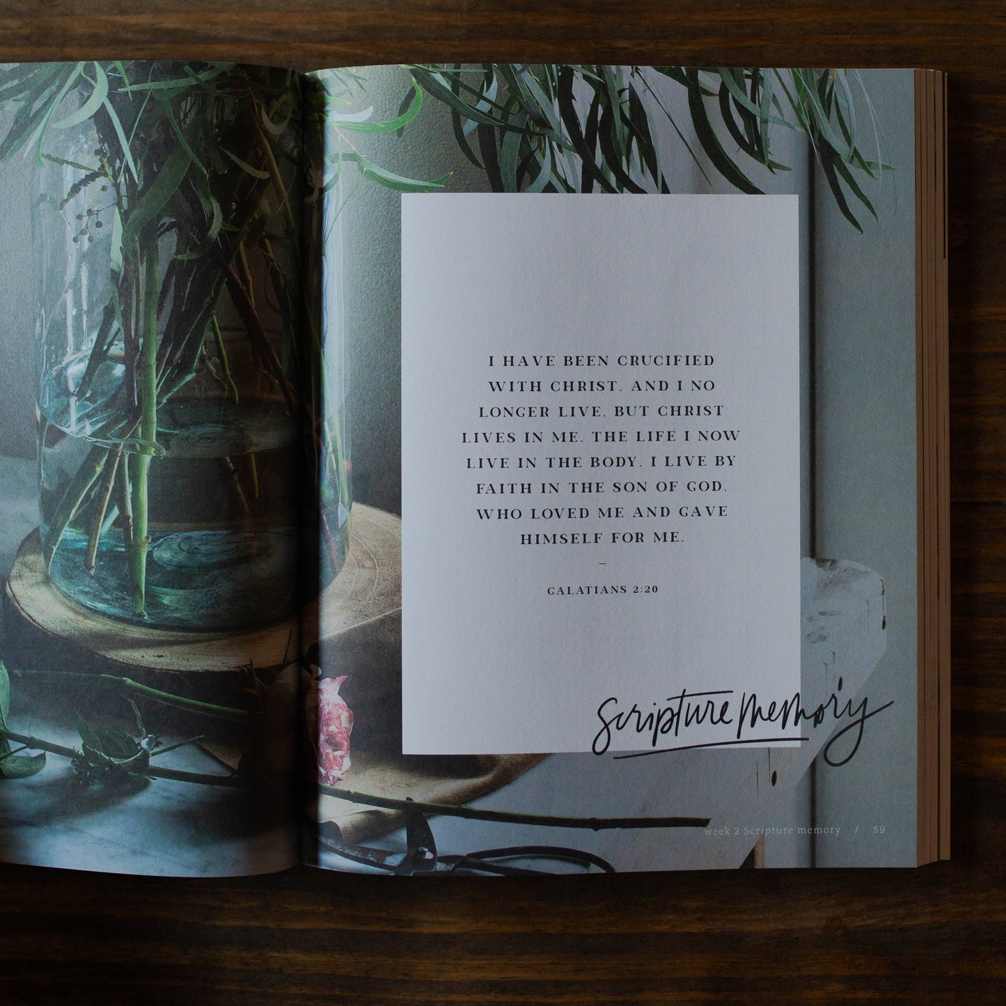 By Faith | Galatians Bible Study
