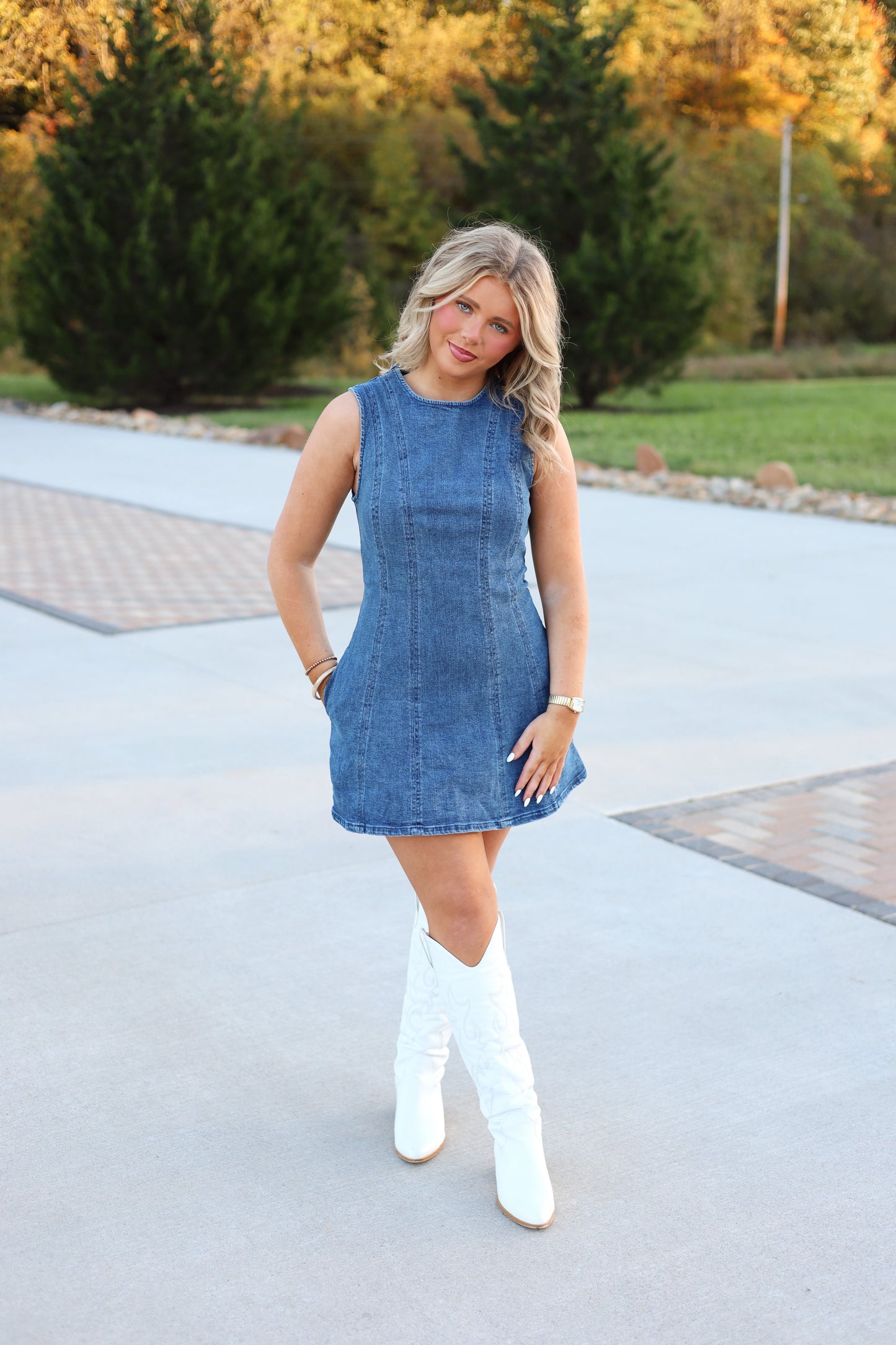 Bless Your Denim Dress