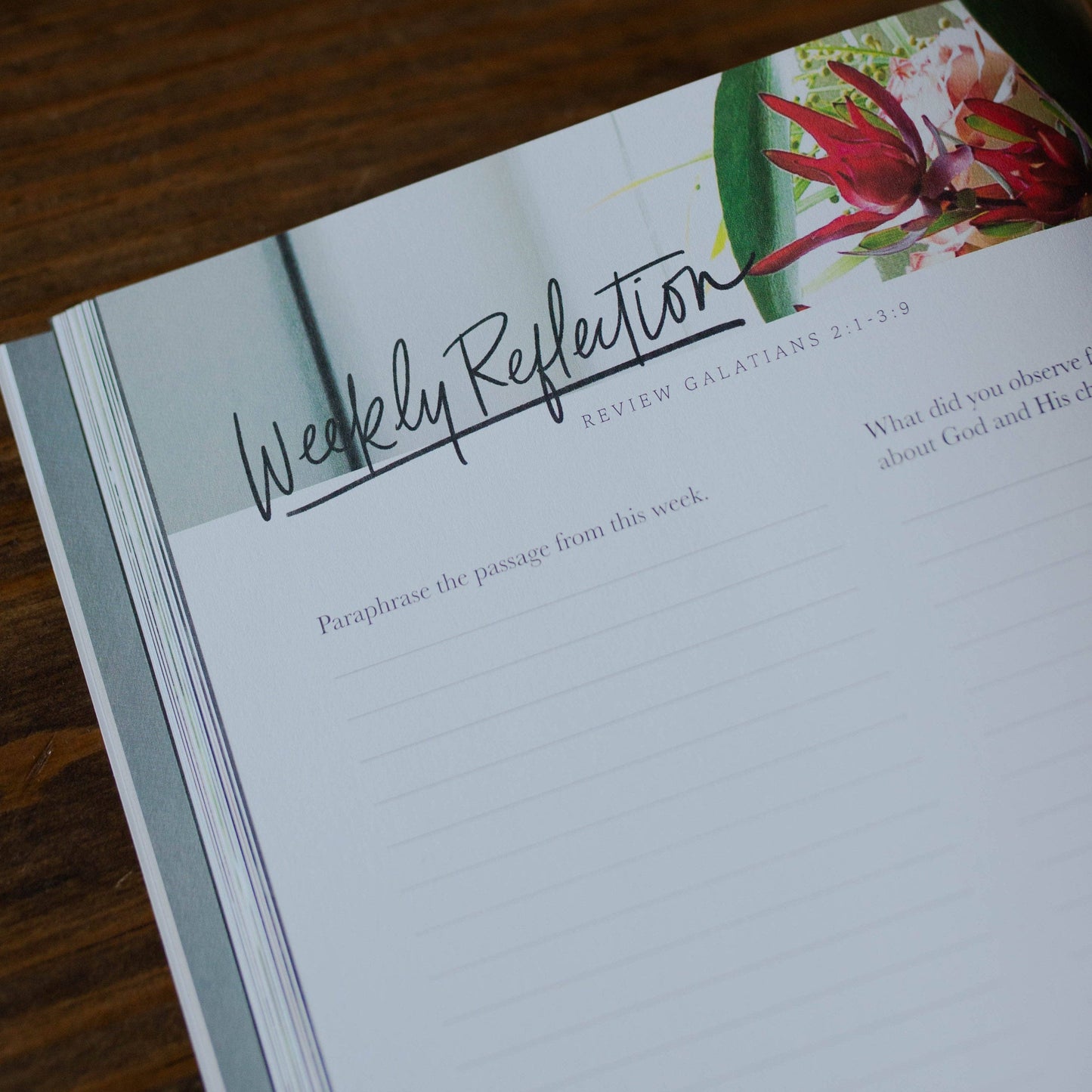 By Faith | Galatians Bible Study