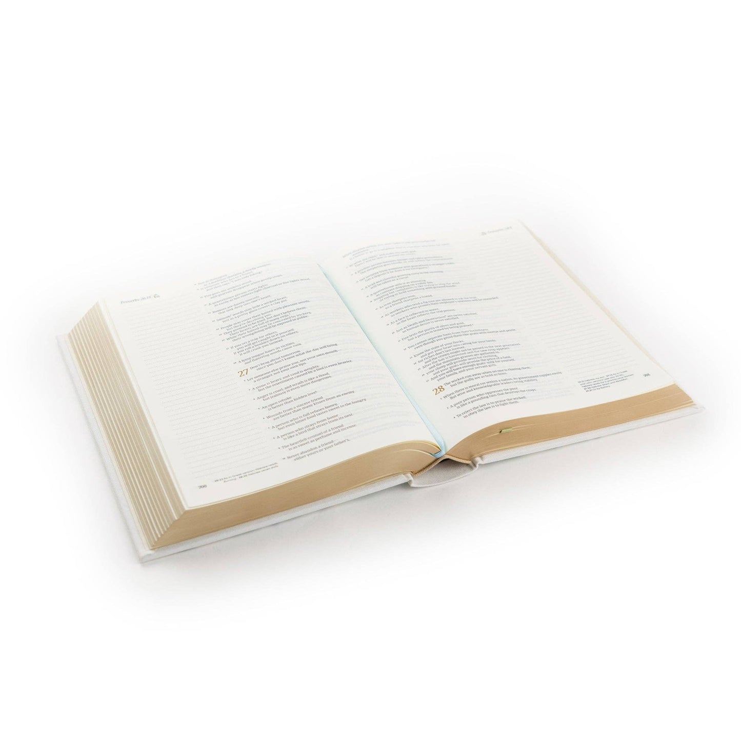 Embroidered NLT Notetaking Bible