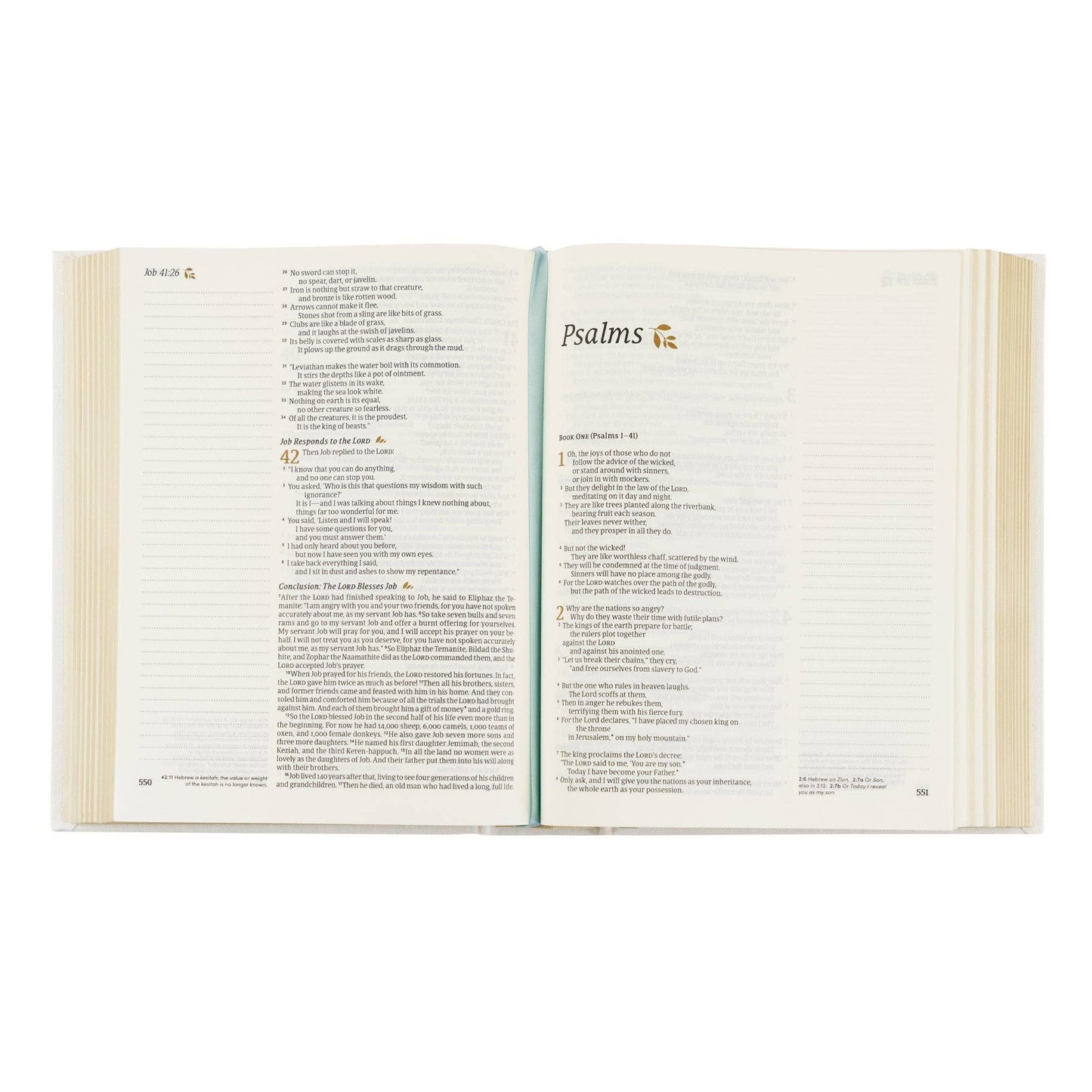 Embroidered NLT Notetaking Bible