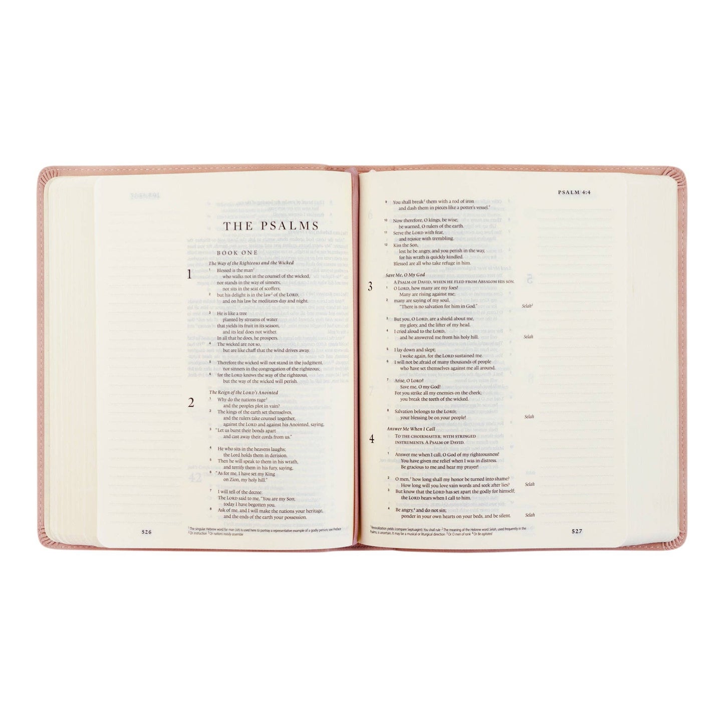 Blush ESV Journaling Bible